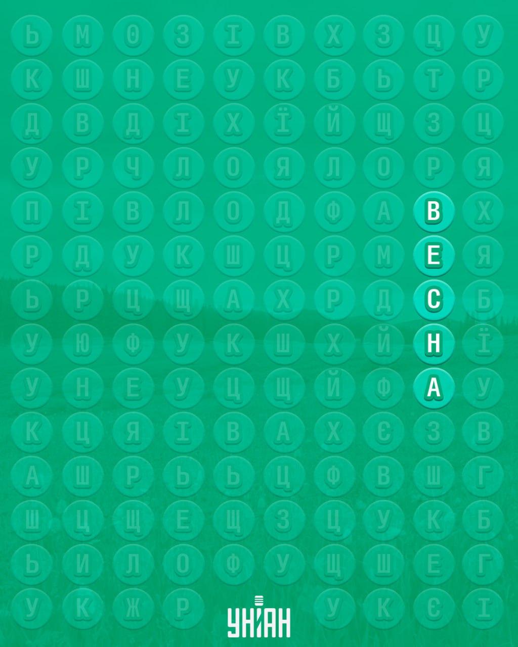 98% das pessoas não conseguem encontrar a palavra 