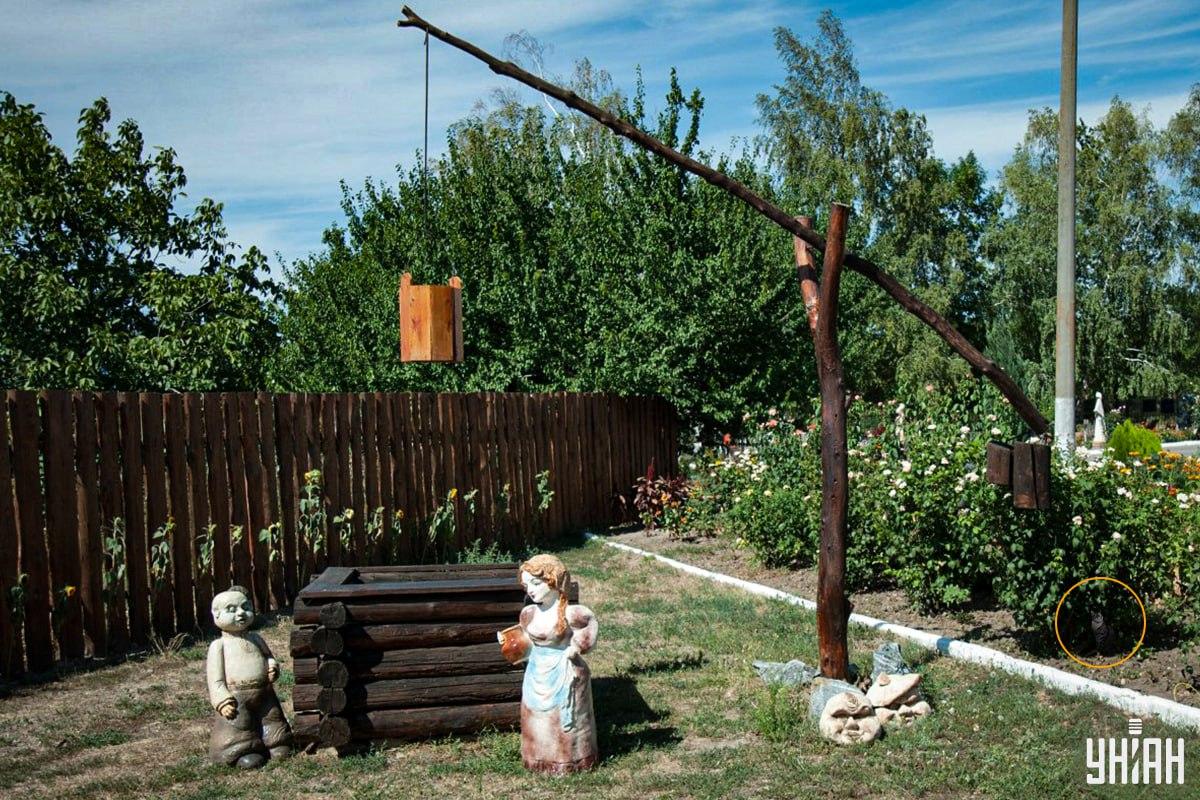 O gato estava no canteiro / colagem Moje