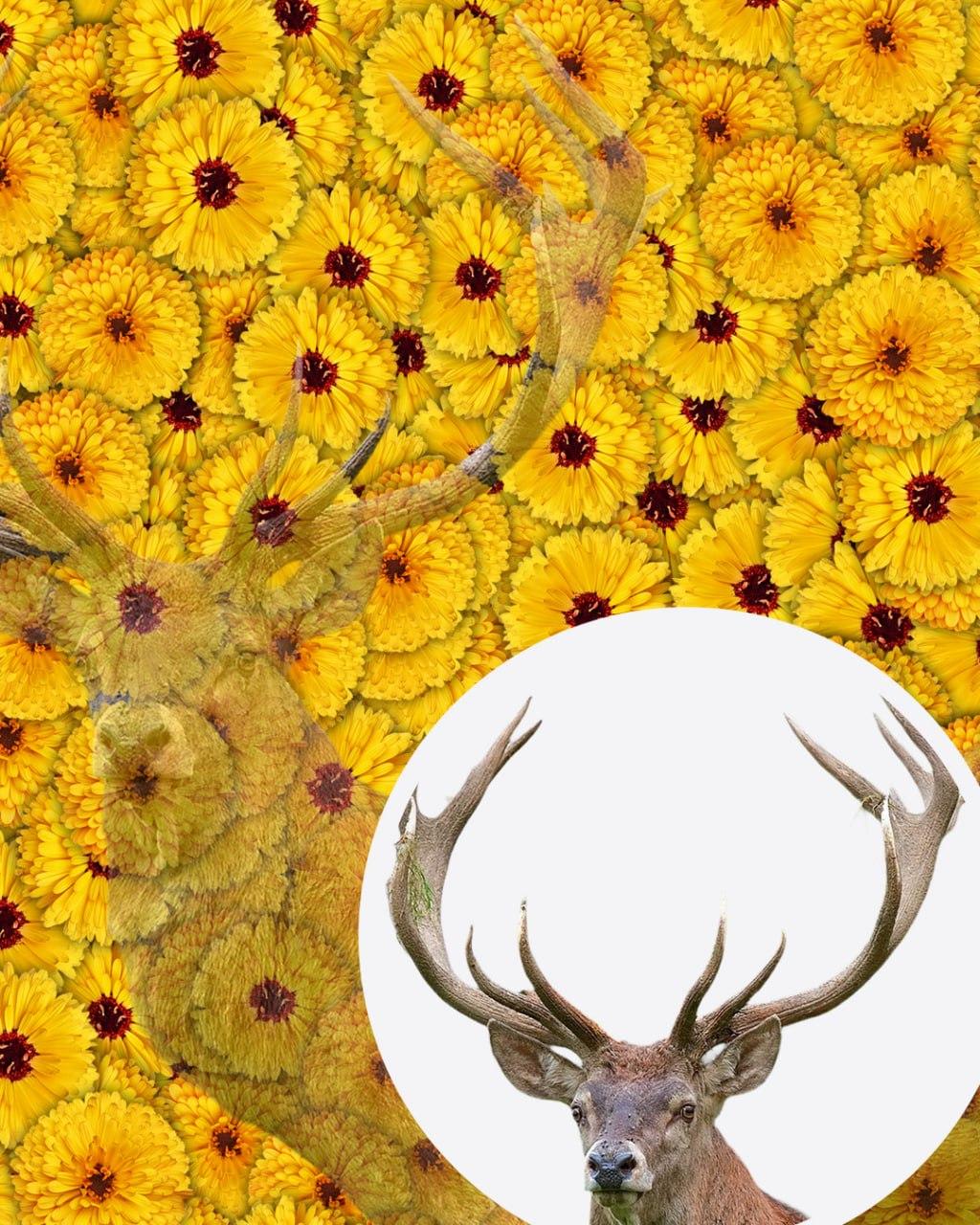 Apenas 1 em cada 10 pessoas conseguirá encontrar o veado da imagem em 7 segundos: uma ilusão de ótica muito complexa