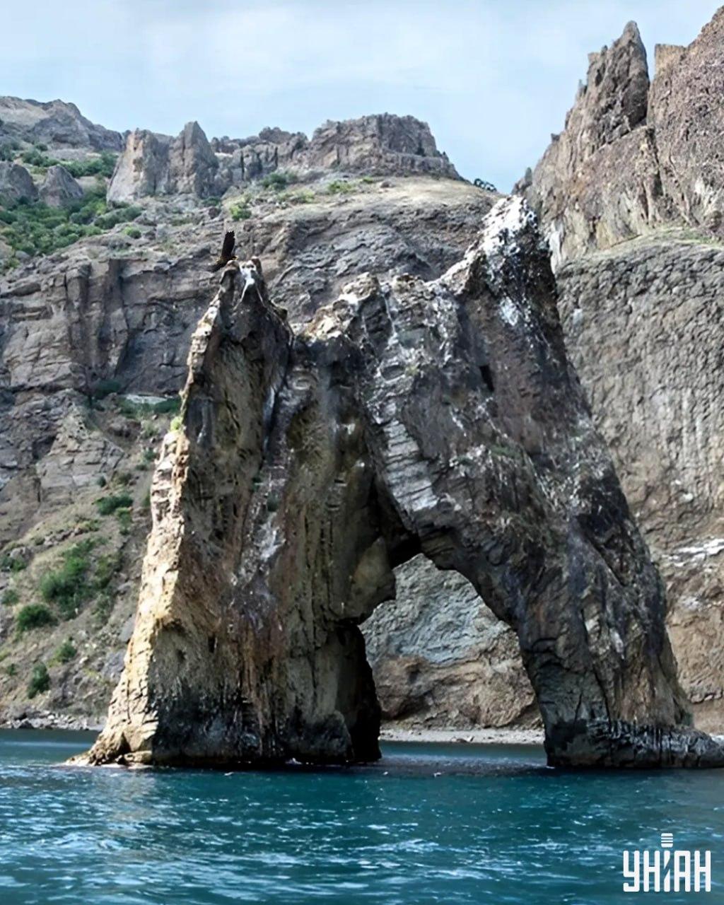 Demora menos de 10 segundos a encontrar a águia na imagem do puzzle / colagem com a fotografia da Moje