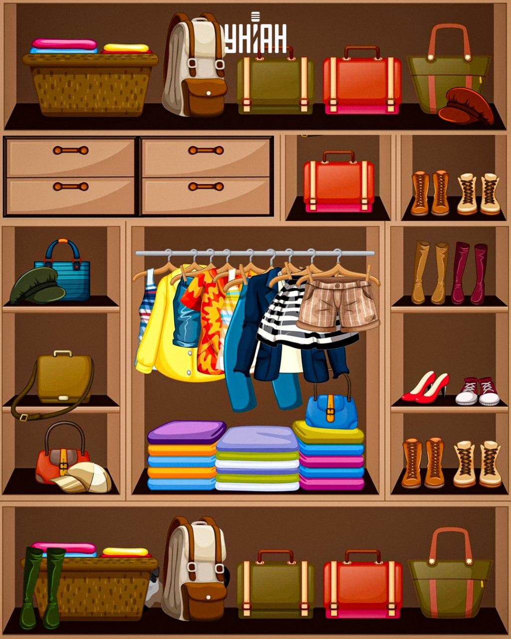 Procura um gato astuto / colagem Moje