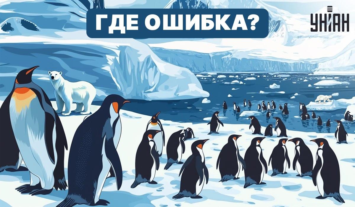 Consegues descobrir o que está errado na imagem? / Moje