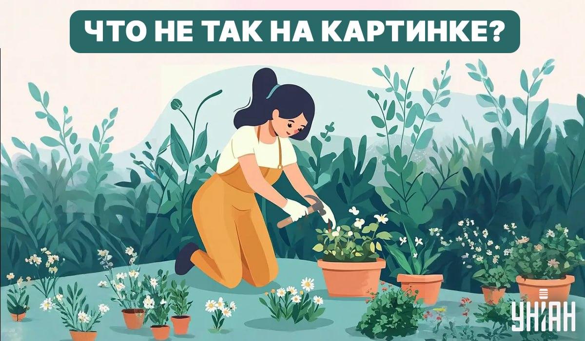 Tenta encontrar um erro / Colagem - Moje