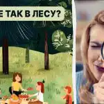 Encontrar um inseto na floresta em 5 segundos: um teste