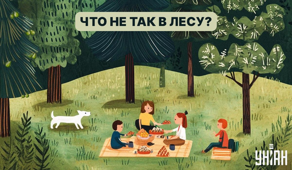 Encontrar um inseto na floresta em 5 segundos: um teste rápido para verificar o QI