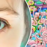 Encontre a rapariga entre os flamingos em 8 segundos: este