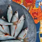 Necessidade de encontrar peixes entre gatos: um puzzle divertido para