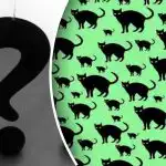 O desafio mais difícil até para os olhos mais aguçados: