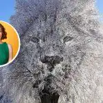 Pessoa "fechada" ou "sociável": o que a ilusão de ótica