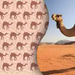 Só os Sherlock Holmes dos tempos modernos encontrarão o estranho