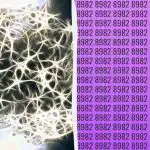 Teste de QI simples: descobrir o número extra em 9