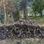 Um puzzle para os mais alegres e engenhosos: tens de