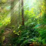 Um puzzle para quem tem uma excelente visão: tem de